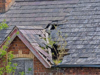 Professional water damage restoration services in Modesto - GreenPeak Pros